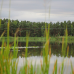VIDEOMEENUTUS: HAPPY IN ESTONIA MEESKOND ELVA SEIKLUSPARGIS