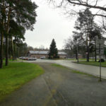 PILTUUDIS: Elvas on püsti Jõulupuu!