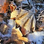 TOIMETAJA VEERG: novembrist detsembrisse!