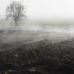 TOIMETAJA VEERG: Räägime päevadest