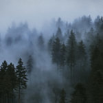 Nimed näitusetahvlil, intervjuu Jane Remmiga.