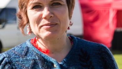 Photo of PRESSITEADE: Elva linn tunnustab
