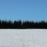 Nädal enne juubelit