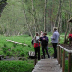 Elva valla teade: Elva valla turismiettevõtjate ümarlaud kutsub ettevõtjaid endast teada andma