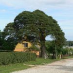 Repliik: Elva linn pole kusagile kadunud