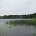 Arbi järves võib jälle supelda