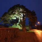 Aita valgustada Arbi mänd!