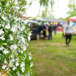 Kuidas ja mille alusel teostatakse vallas heakorratöid?