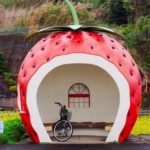 Positiivsed arengud Elva vallas Aakres