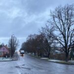 Pikal tänaval lõigatakse maha väärikad vanad tammed ja pärnad