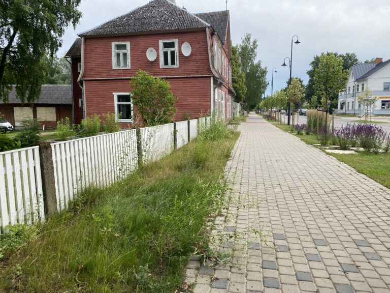 Malts Elva peatänaval, foto: Elva Elu