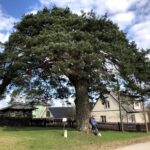 Inna-Inga Kalmus: Kust me tuleme ja kuhu me oleme teel…