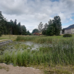 Oktoobrikuus tehakse Arbi ja Verevi järve ääres niitmis- ja puhastustöid