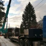 Flash: Elva linna jõulupuu toodi seekord Arbimäe tänavalt