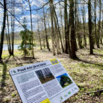 Fotod: Elvas avati Arbi järve loodusrada