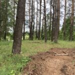 Flash: Tamsa Kindralimäelt haihtus punamonument