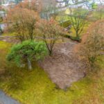 Flash: viimane ruutmeeter Elvast on vabastatud!