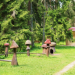 Elva Seeneriik läbis uuenduse