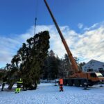 Flash: Elva Keskväljak sai täna omale jõulupuu!